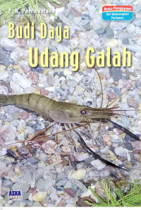 Image of Budi Daya Udang Galah